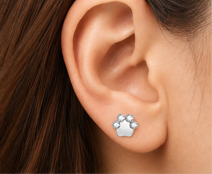 Zampa con Zirconi – Labret Interno in Titanio ASTM F-136