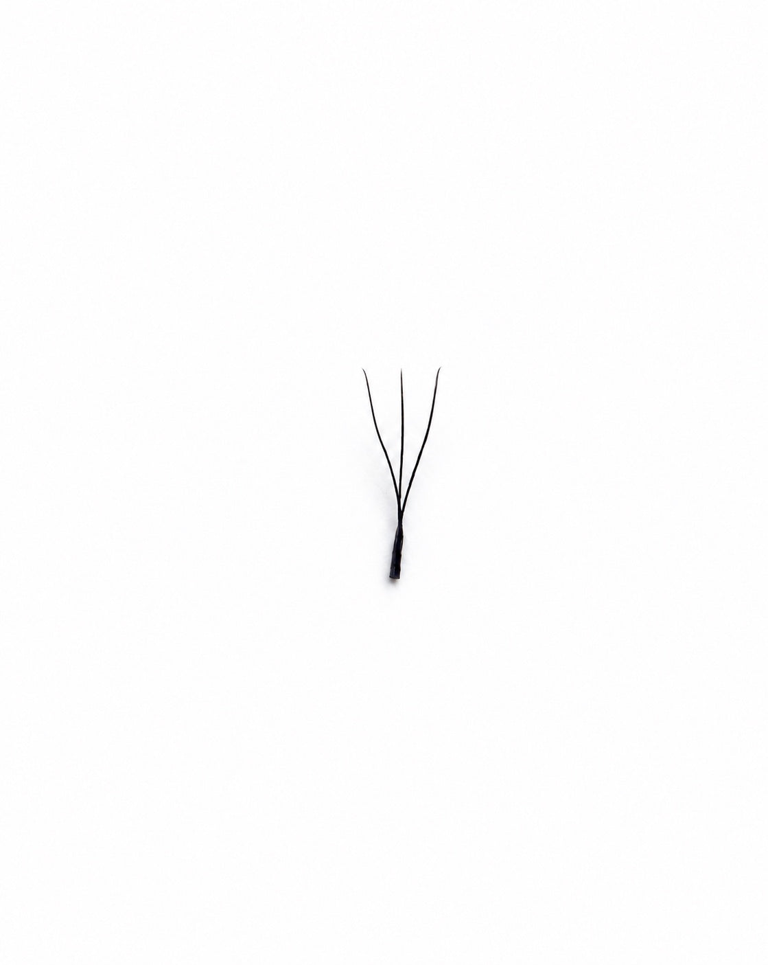 Extension ciglia WU AT Lashes vista frontale